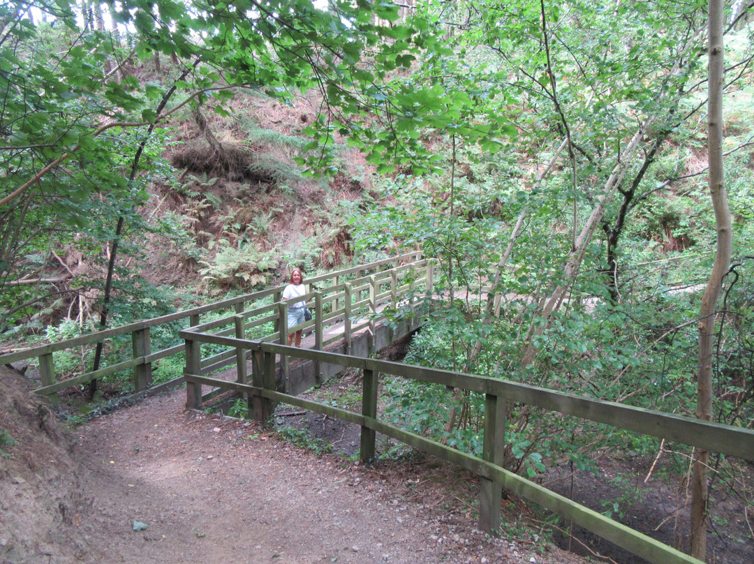 Thruscross Reservoir-Blubberhouses必去景点