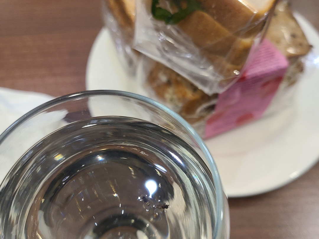 51st & Green Lounge-都柏林必去景点