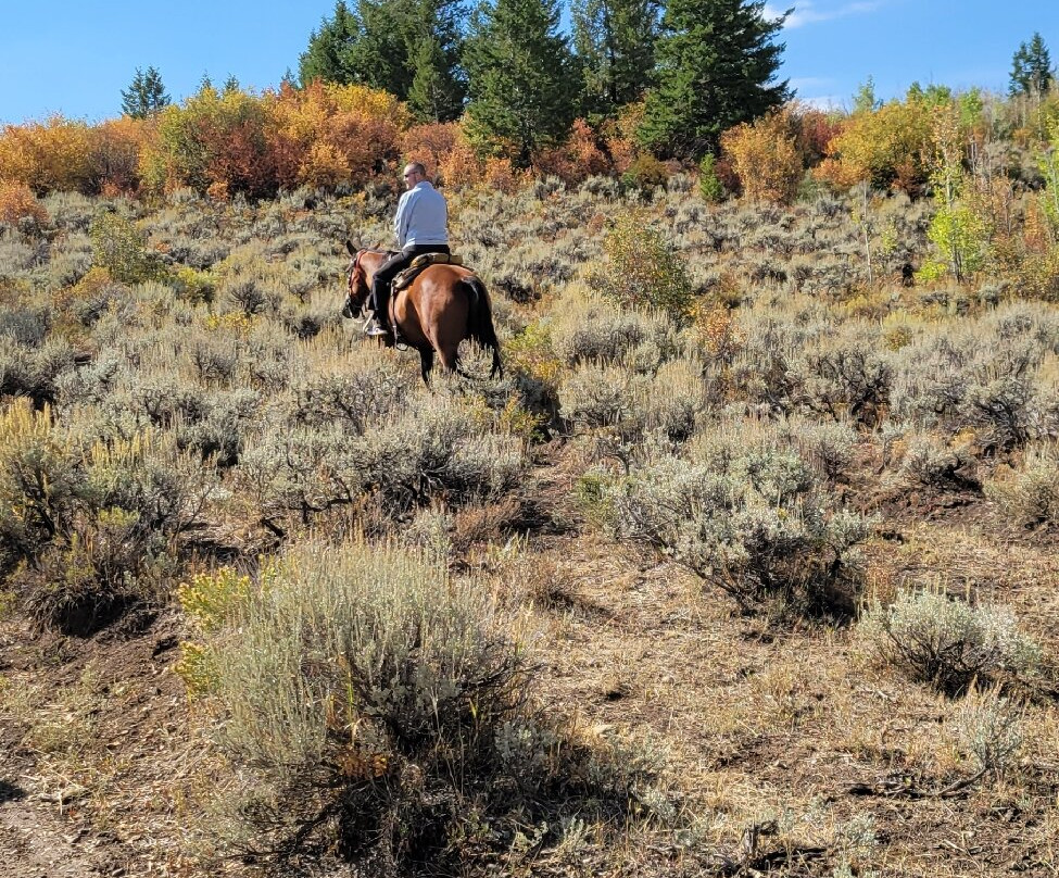 Rusty Spurr Ranch-Kremmling必去景点