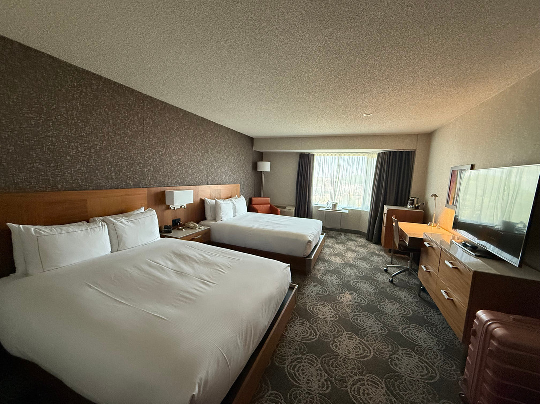 Hilton Montreal/Laval主图