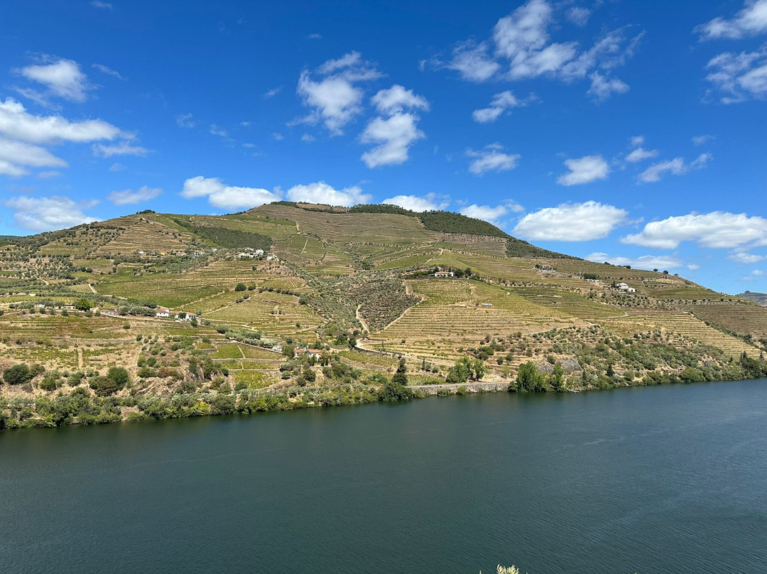 Jorge Miguel Matias - Wine & Tours-Pinhao必去景点