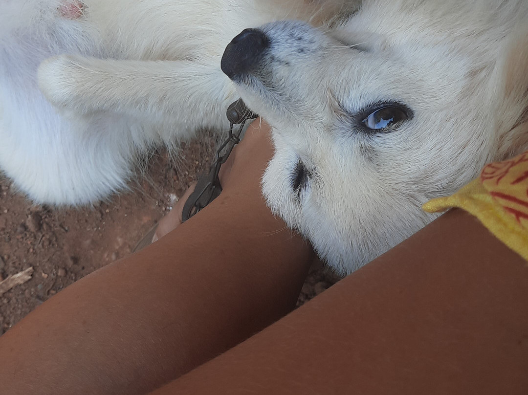 Tattvaashram Yog Shala-瓦卡拉必去景点