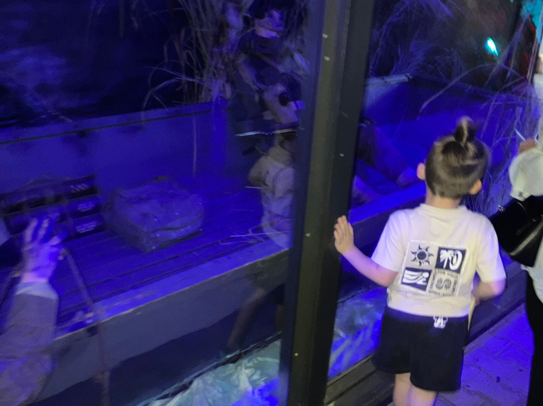 Museum Bevrijdende Vleugels-Best必去景点