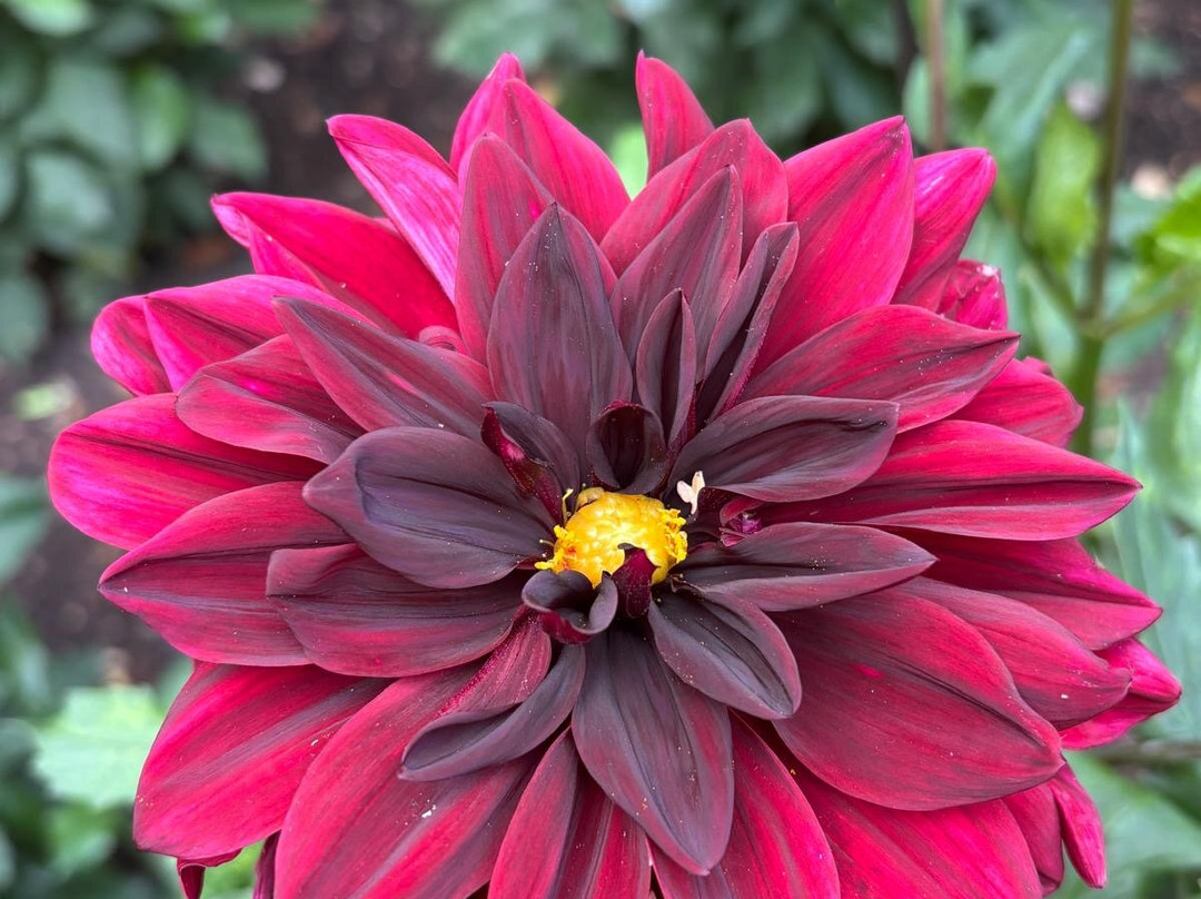 安格尔西修道院-Lode必去景点