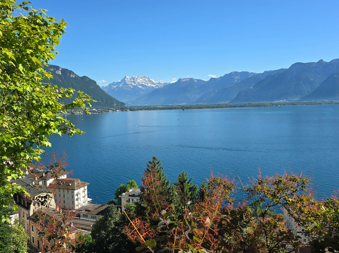 Church Saint-Vincent-蒙特勒必去景点