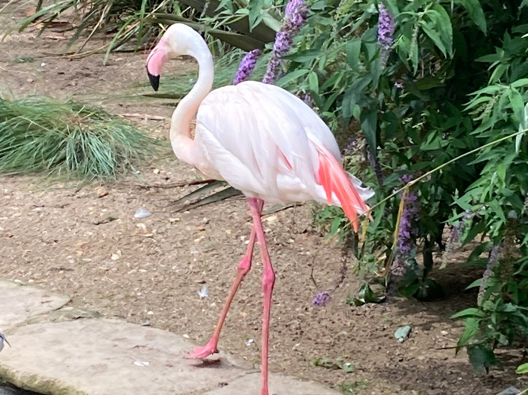Amazon World Zoo Park-桑当必去景点