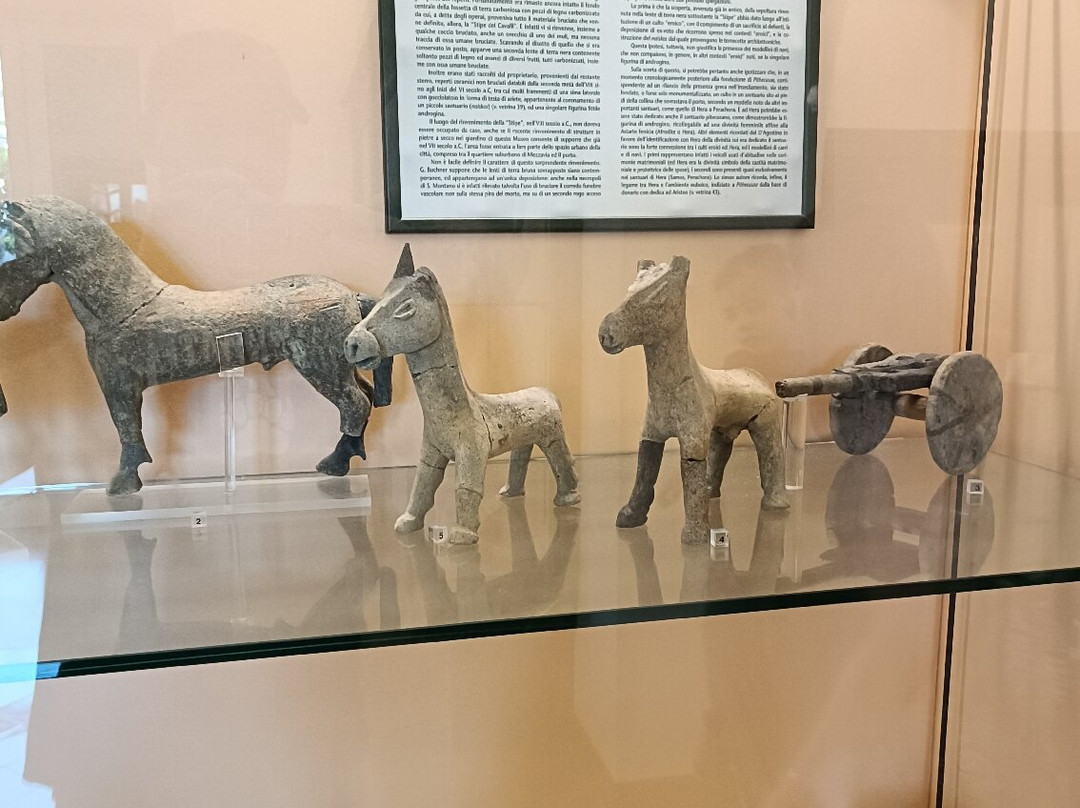 Museo Archeologico di Pithecusae-Lacco Ameno必去景点