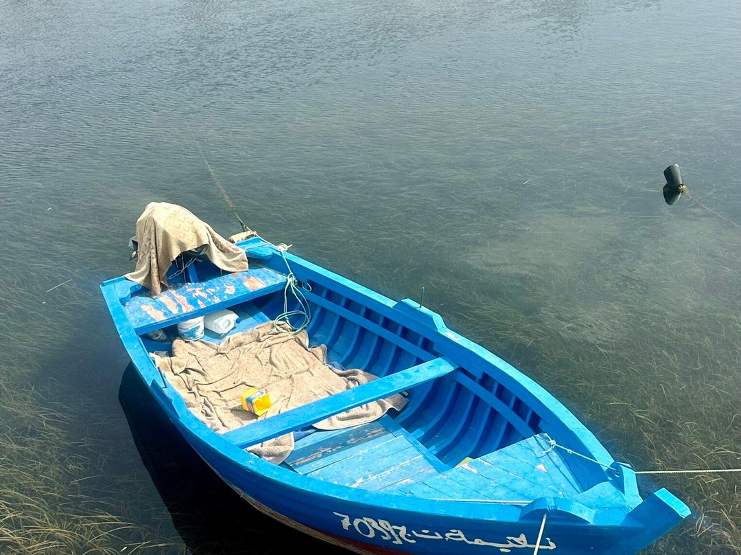 Punic Ports & Museum-迦太基必去景点