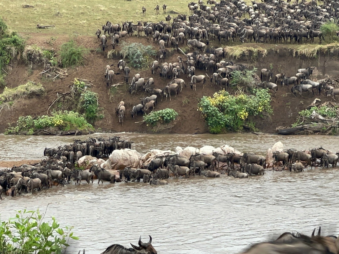 Katikati Tours and Safaris-阿鲁沙必去景点