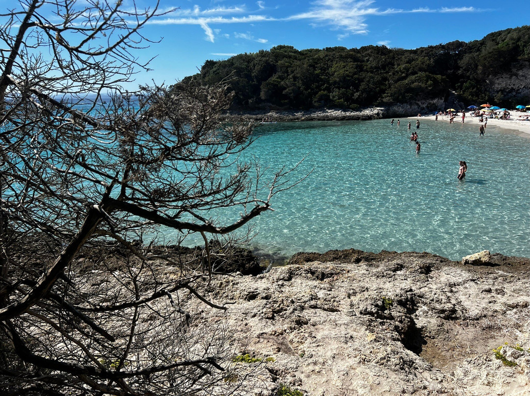 Plage du Petit Sperone-博尼法乔必去景点