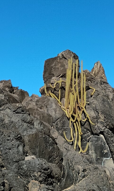 Praia da Cacimba do Padre-费尔南多-迪诺罗尼亚群岛必去景点