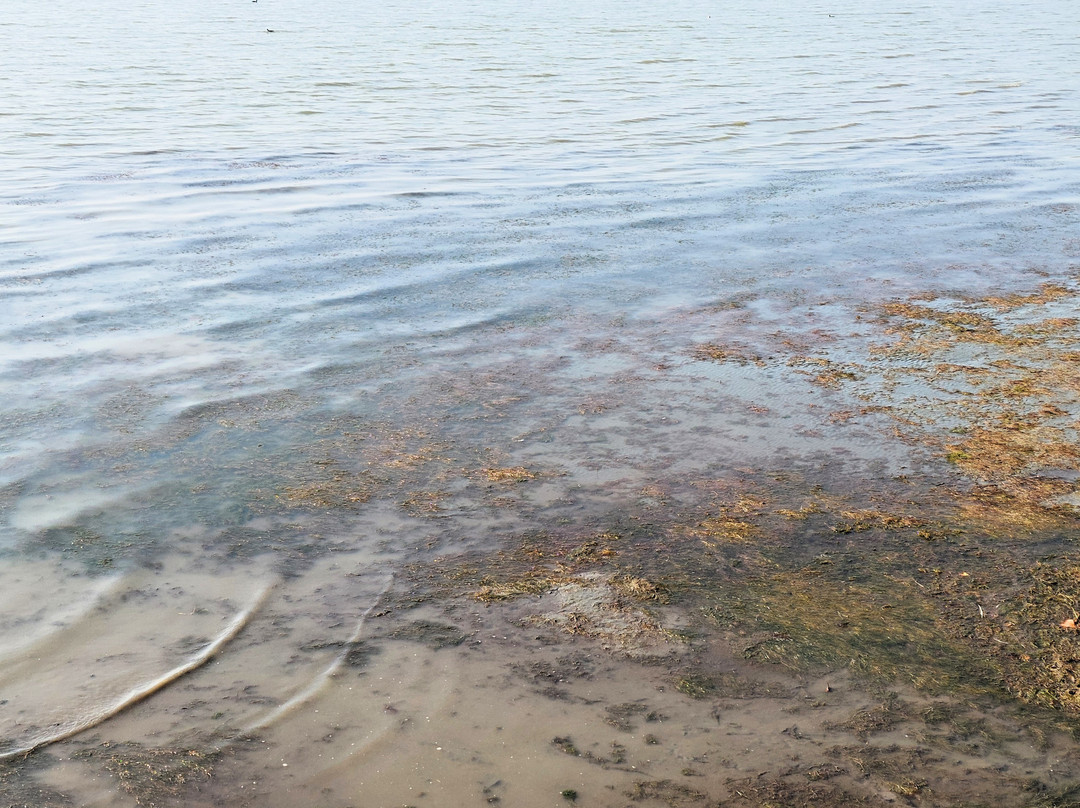 Spiaggia Tuoro Sul Trasimeno-Tuoro sul Trasimeno必去景点