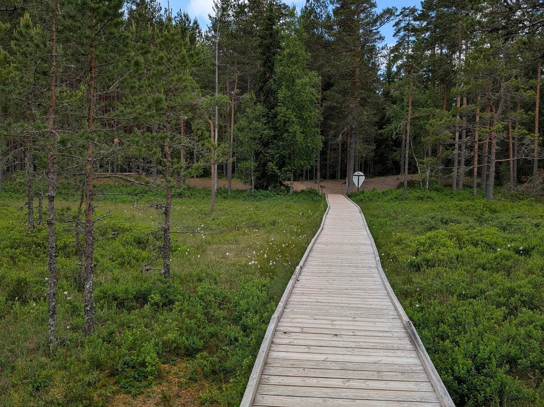 Baltic Holidays-考那斯必去景点