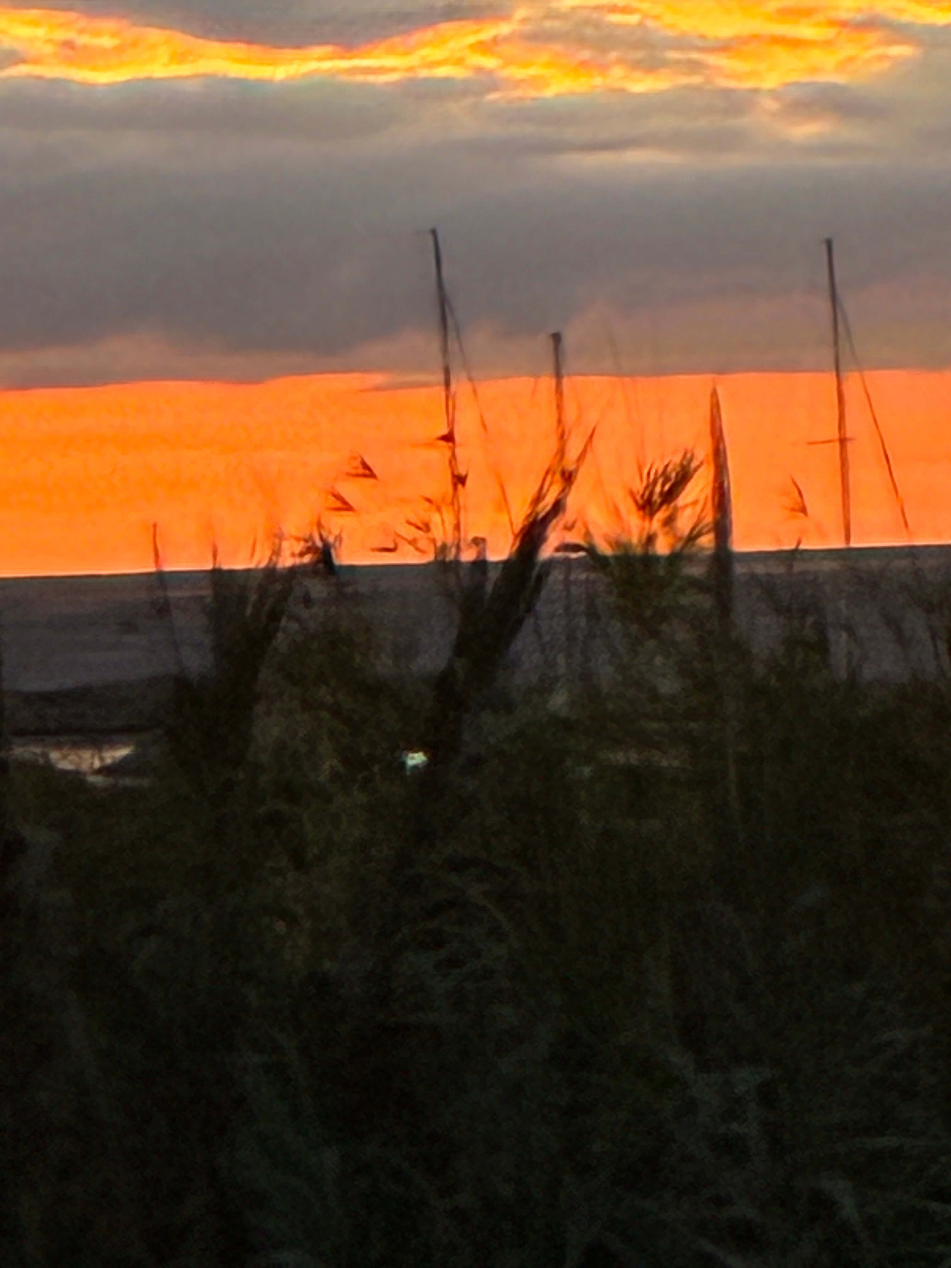 新缇拉酒店-客卧