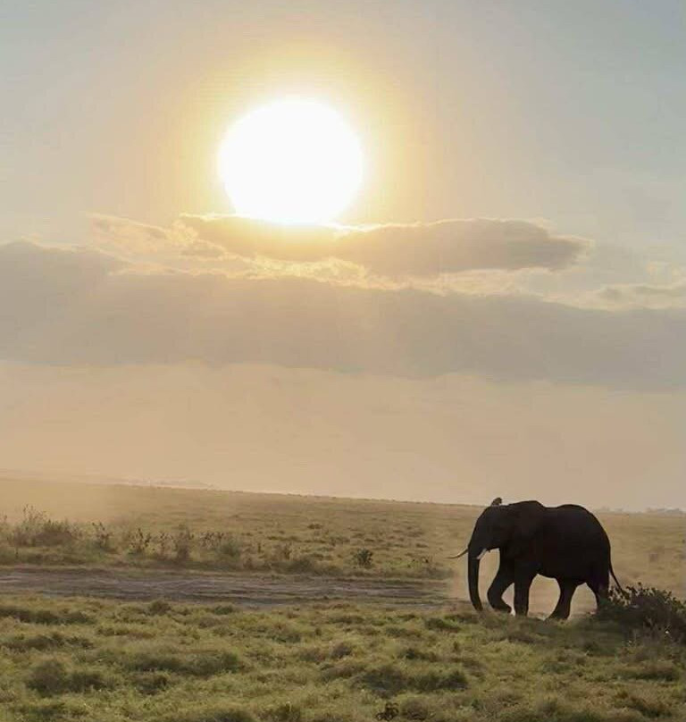 Alligator Adventures Tours & Safaris-纳罗克必去景点