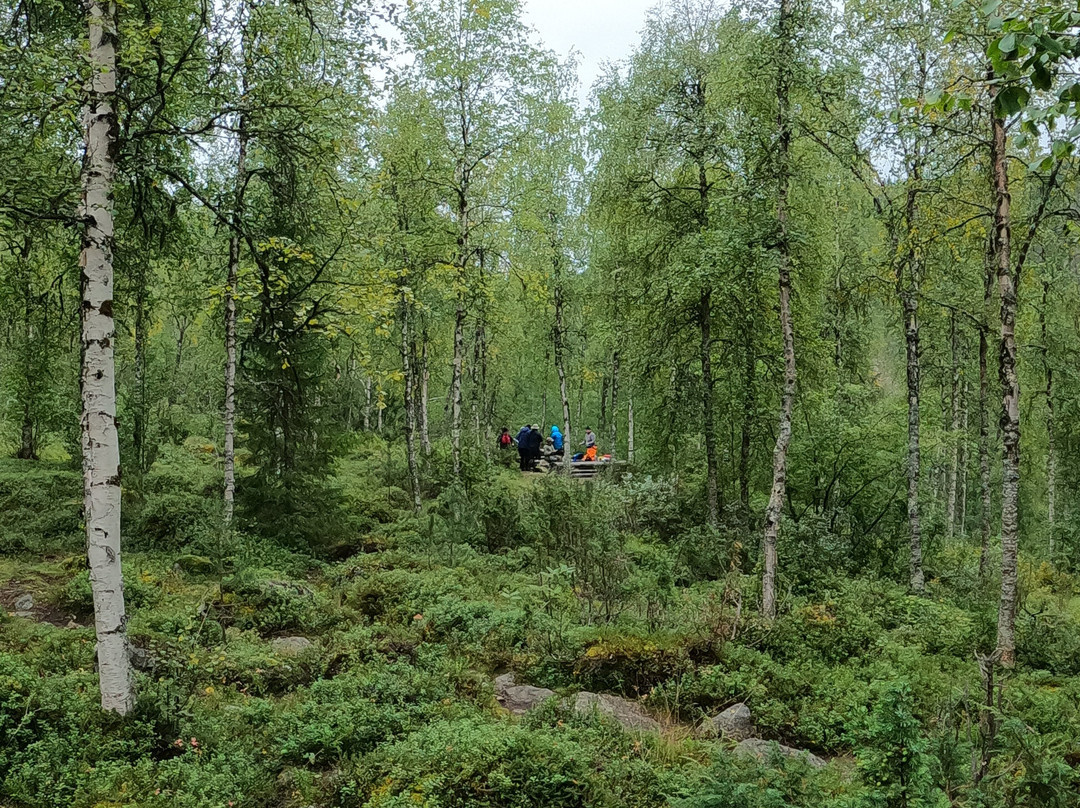 Ghyll-scrambling, canoeing and abseiling with North Star Adventure UK-凯瑟克必去景点