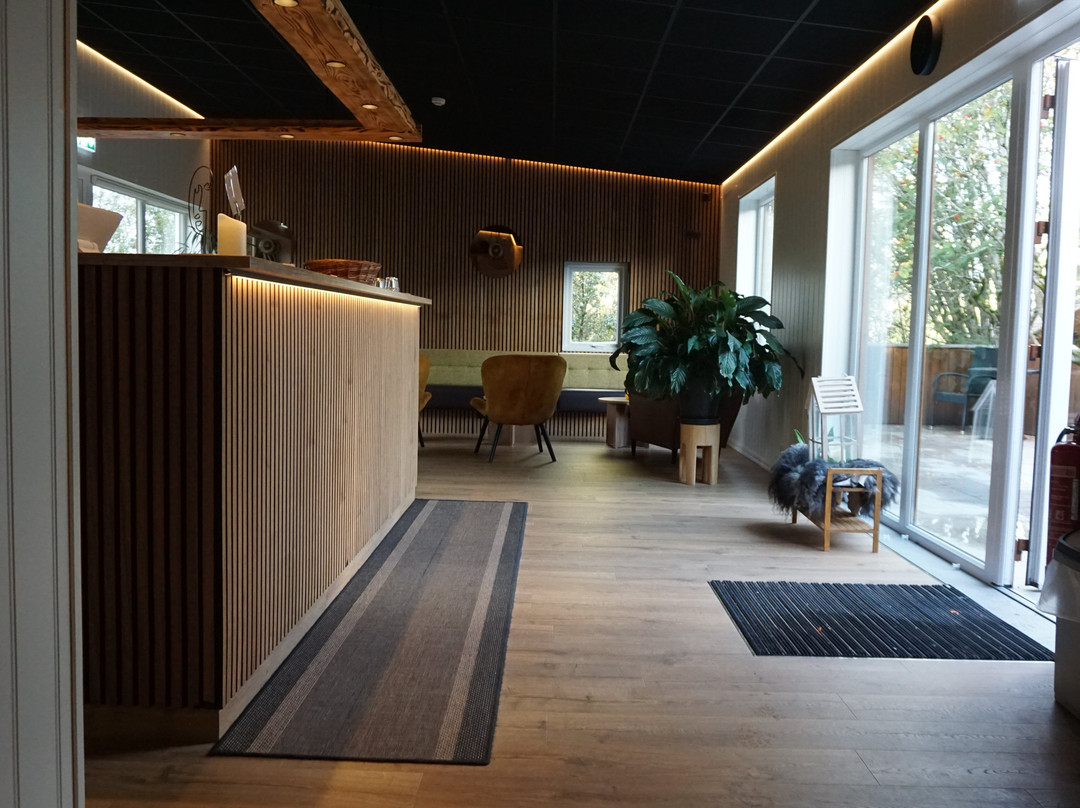 Solheimahjaleiga Guesthouse主图