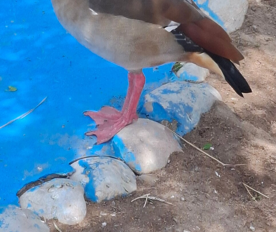 Hurghada Grand Aquarium-赫尔格达必去景点