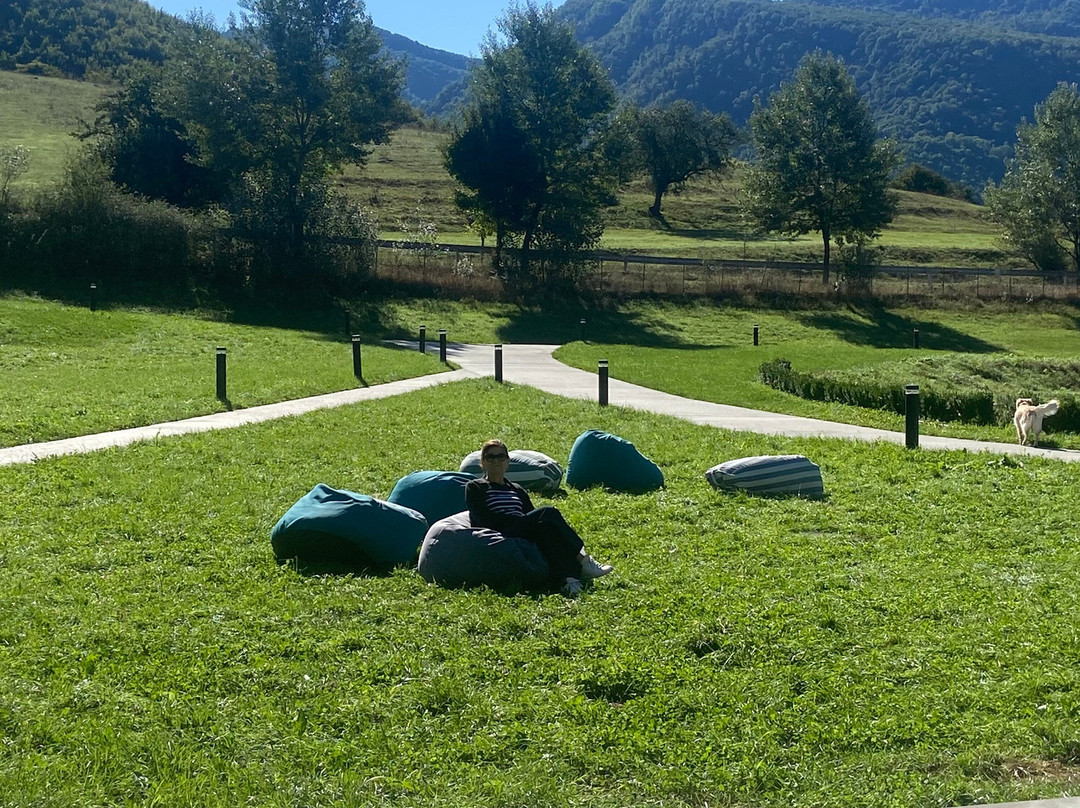 Concept Hotel By COAF主图