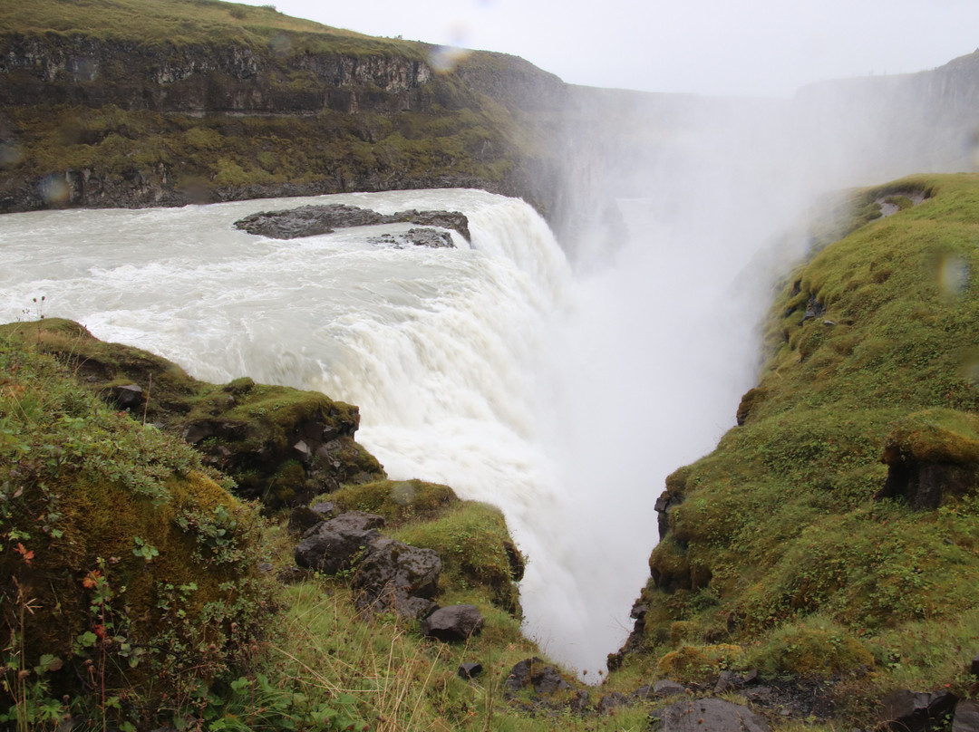 ToursByLocals - Reykjavik Tours-雷克雅未克必去景点