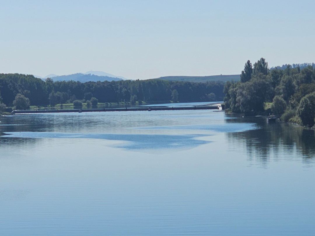 Breisacher Fahrradverleih-Breisach am Rhein必去景点