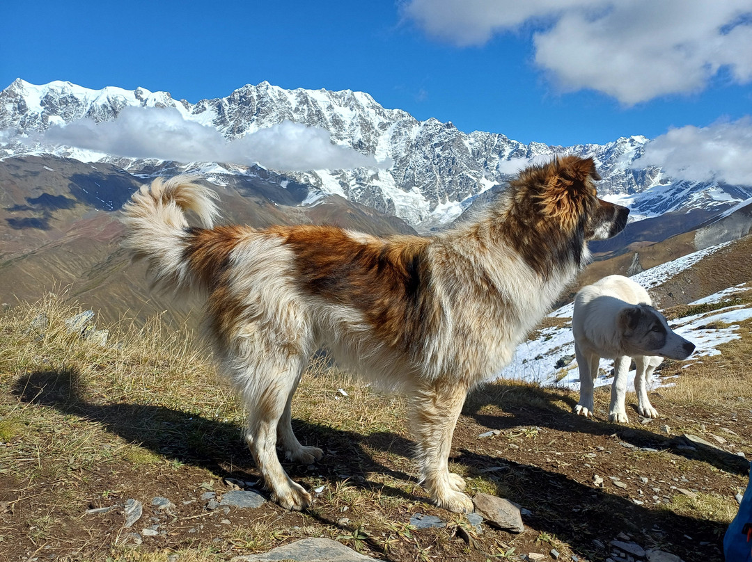 Welcome to Caucasus-第比利斯必去景点