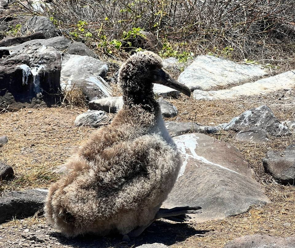 Ecuador Wonders Tour Operator-基多必去景点