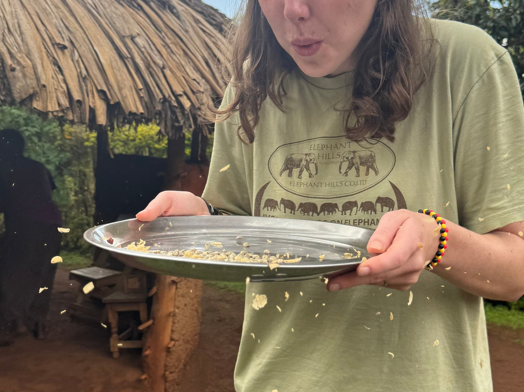 Massif Montane Expedition, Mt Elgon-Sipi必去景点