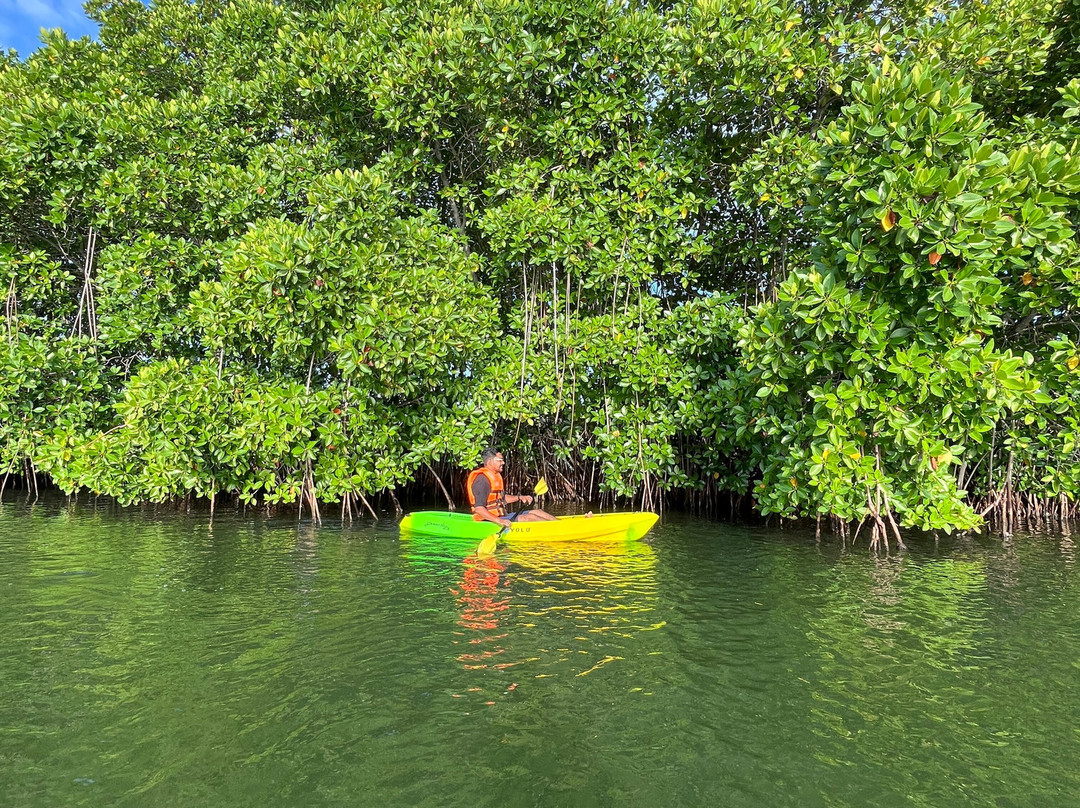 Zebra Kayaks-Munroe Island必去景点