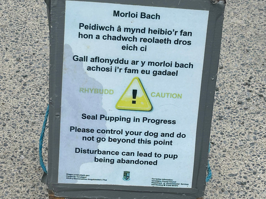 Cwmtydu  Beach-Llandysul必去景点