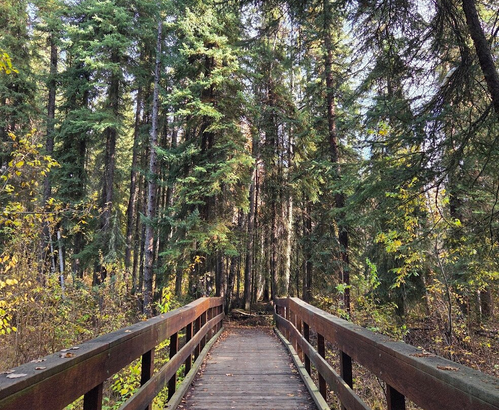 Wedgewood Wildlife Sanctuary-费尔班克斯必去景点