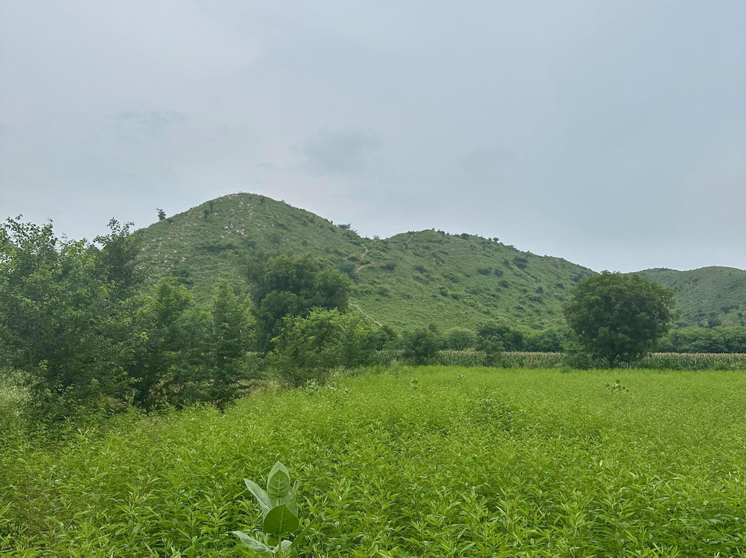 Amrai By Kivaara-Kishangarh必去景点