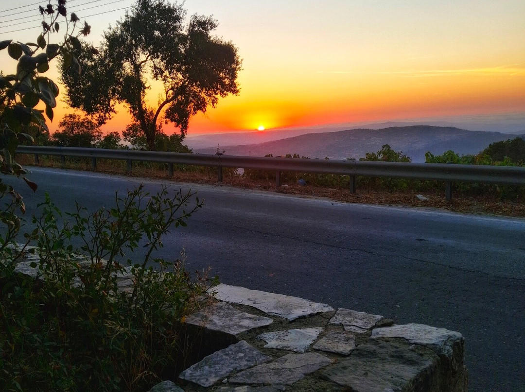 Coffee Leaf, Snacks&more