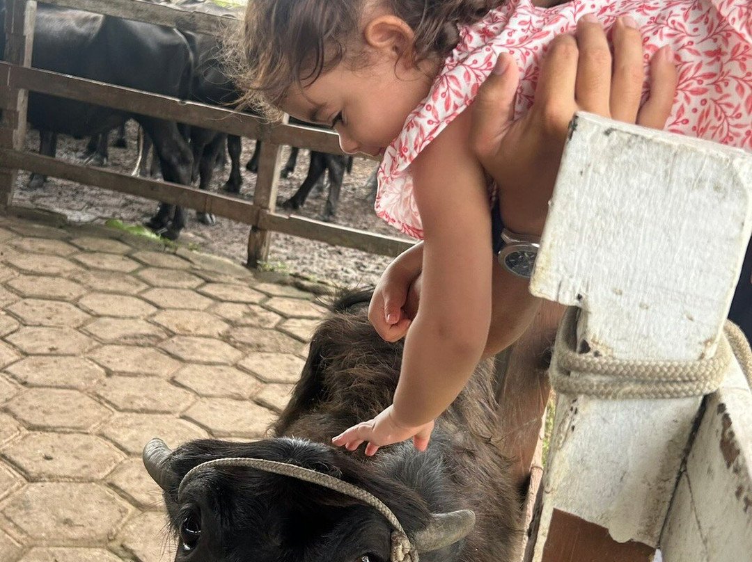 Hotel Fazenda Vitoria主图