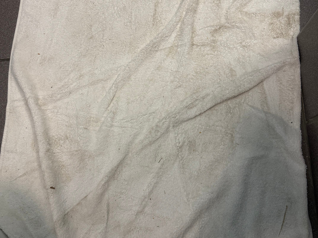 Seahorse Oceanfront Inn主图