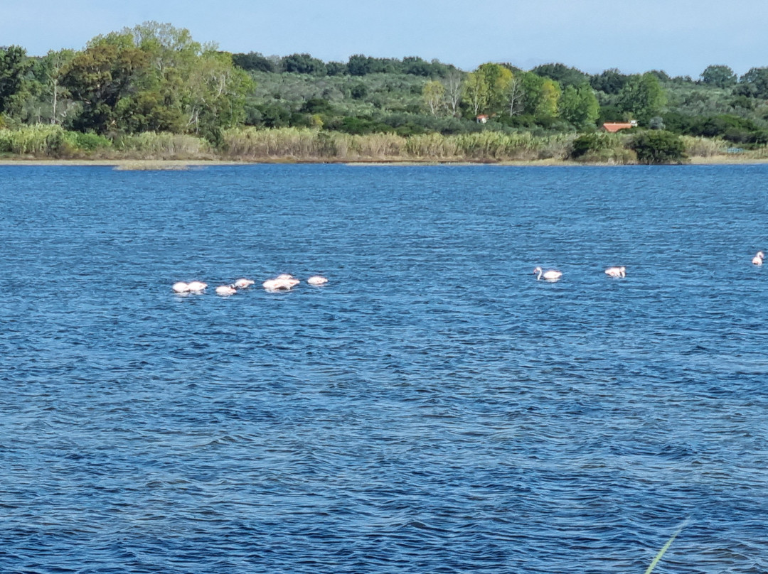 Korissia Lagoon-Halikounas必去景点