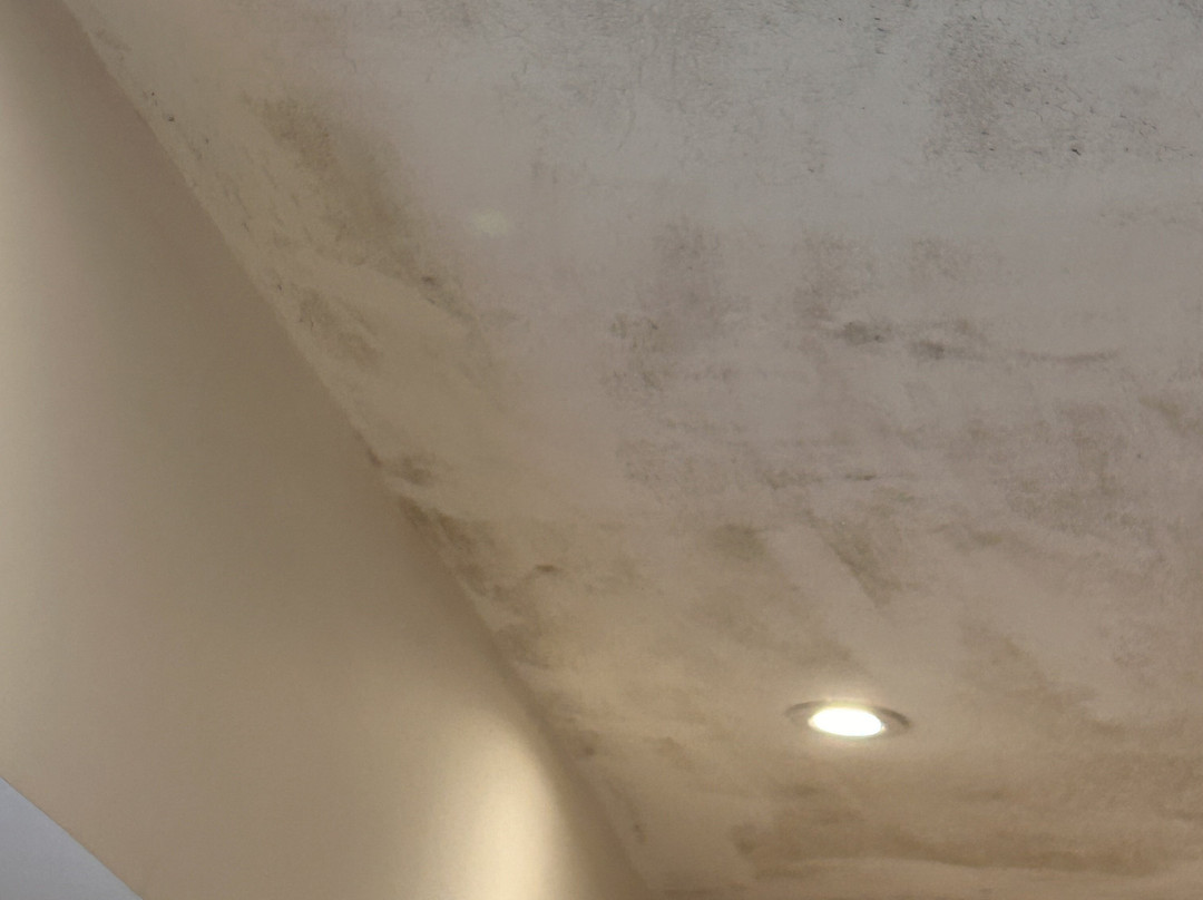 The Busfeild Arms主图