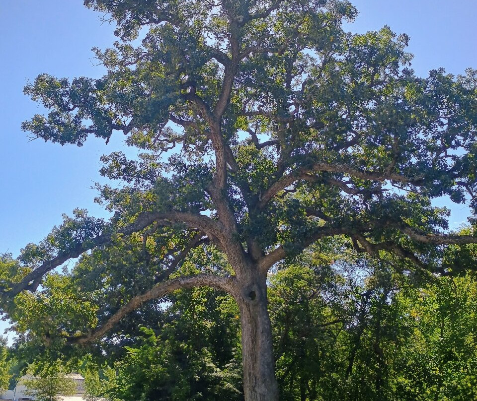 Arbor Day Farm-Nebraska City必去景点