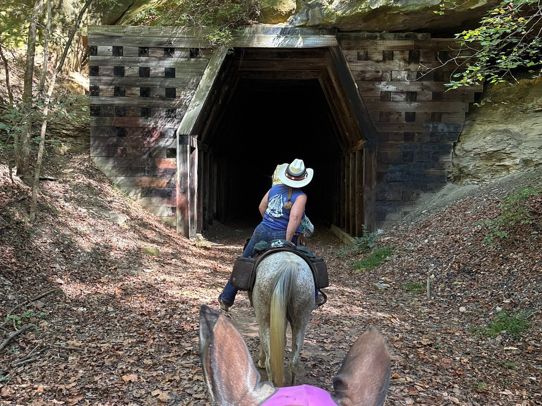 Uncle Buck's Riding Stable-New Marshfield必去景点