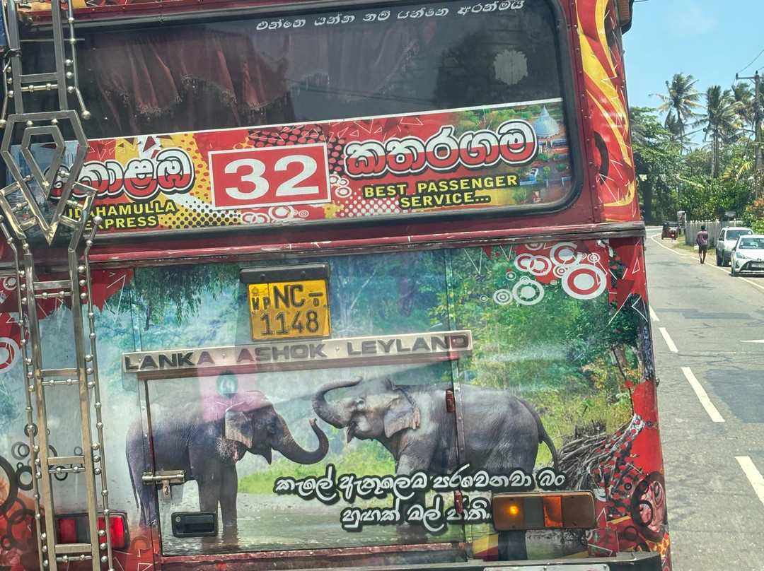 Lanka Cool Experience-卡图纳耶克必去景点