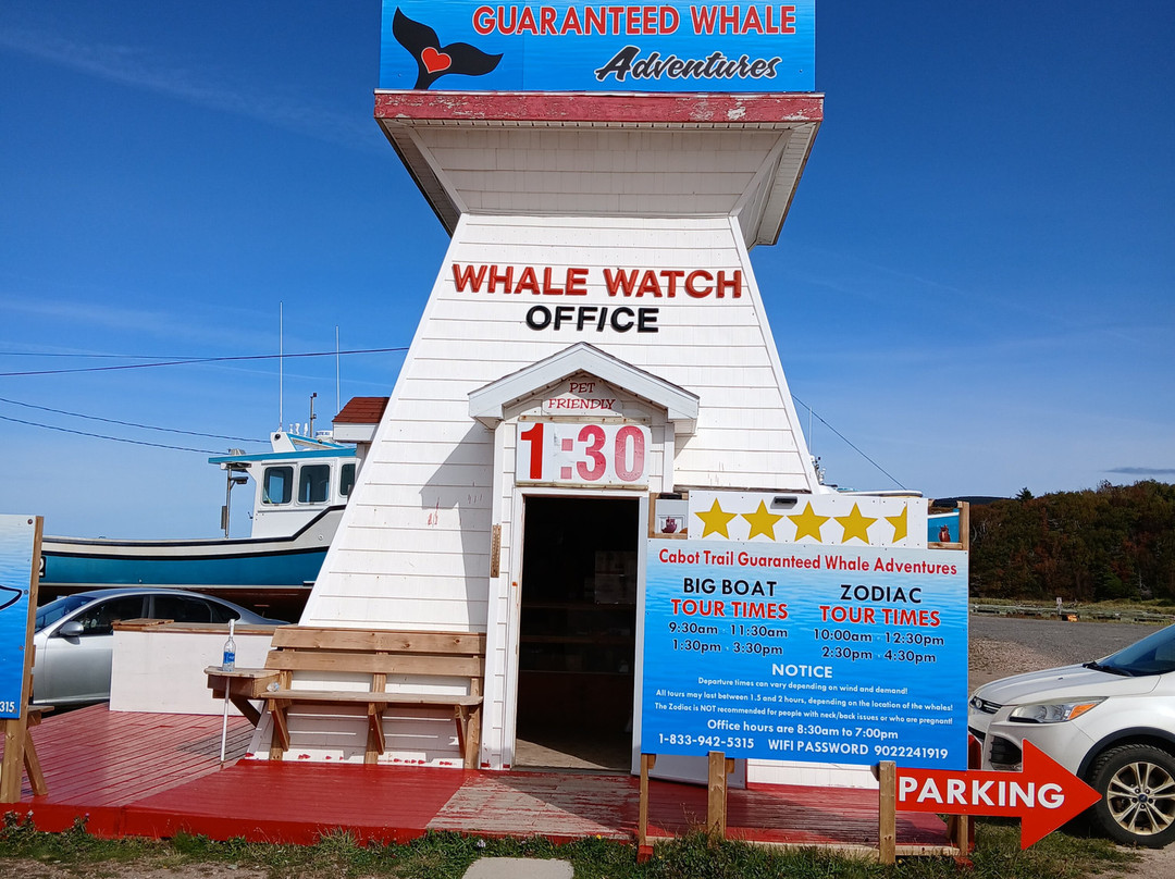 Cabot Trail Guaranteed Whales Adventures-Pleasant Bay必去景点