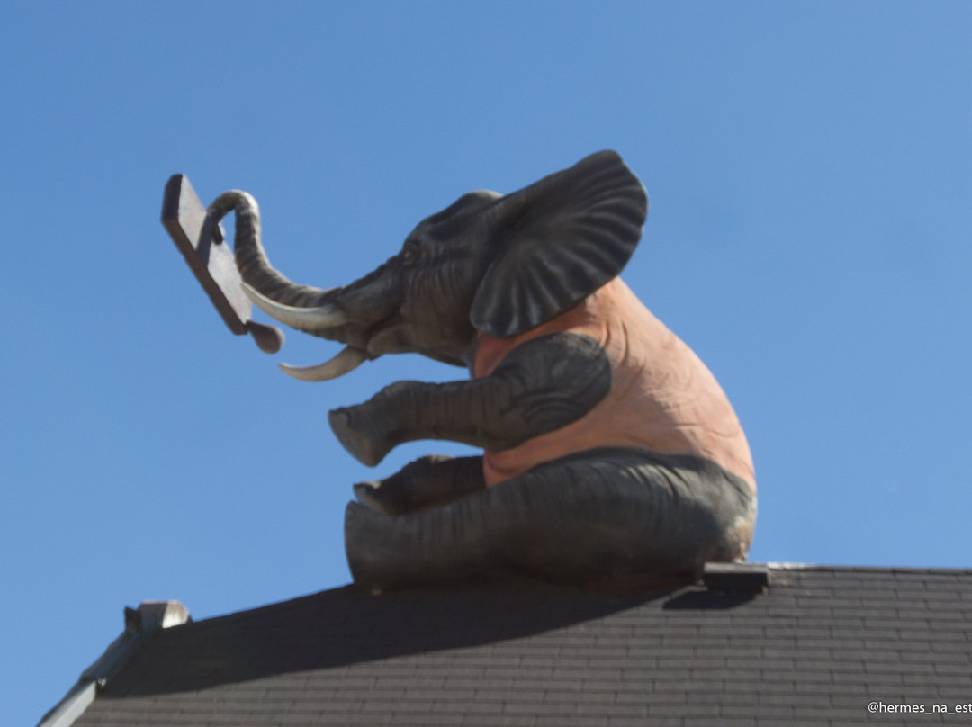 Parque dos Elefantes-坎普斯－杜若尔当必去景点