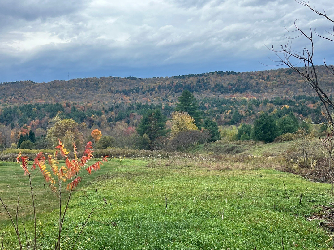 Lamoille Valley Bike Tours-Johnson必去景点