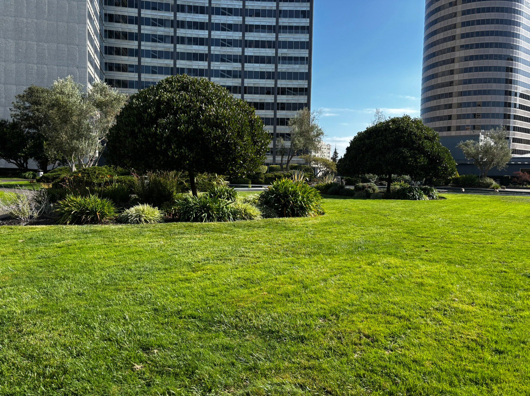 Kaiser Center Roof Garden-奥克兰必去景点