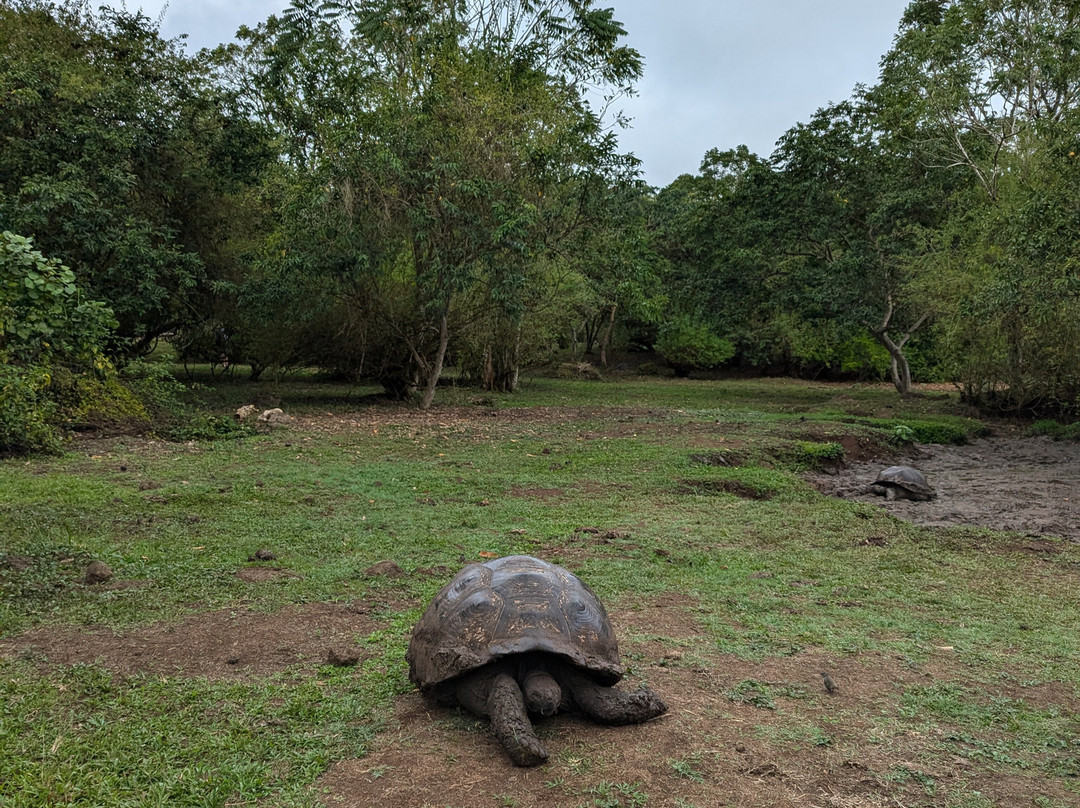 Rancho Primicias-圣克鲁斯必去景点