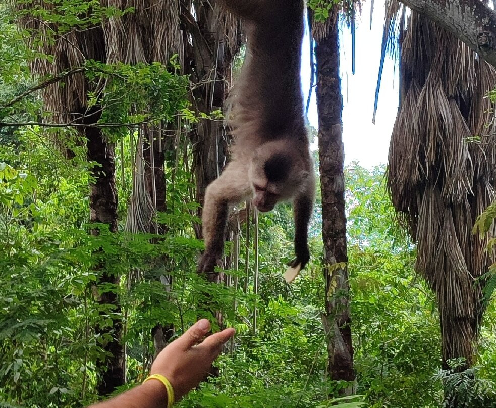 La Llovizna Park-圭亚那城必去景点