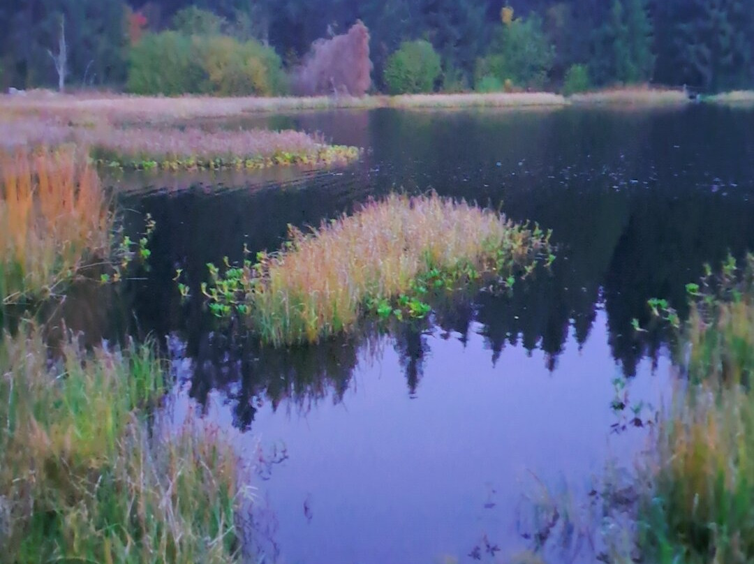 Etang de la Gruère-Saignelégier必去景点