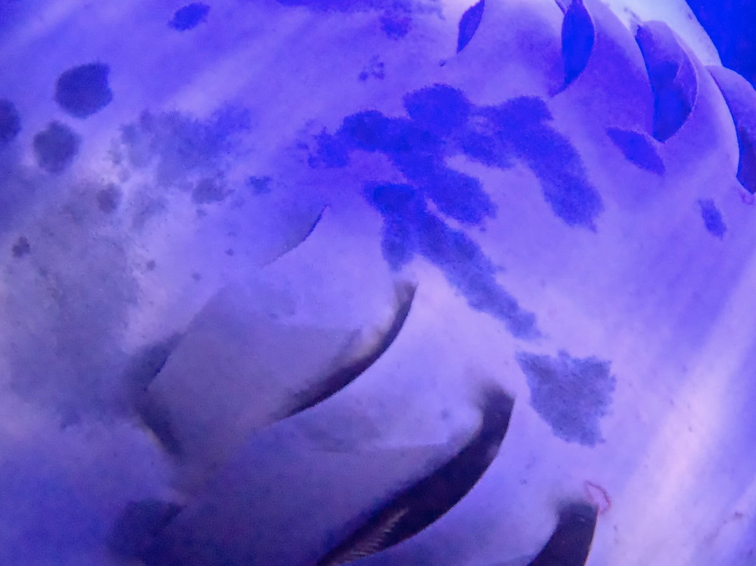 Anelakai Adventures-凯乌渥必去景点