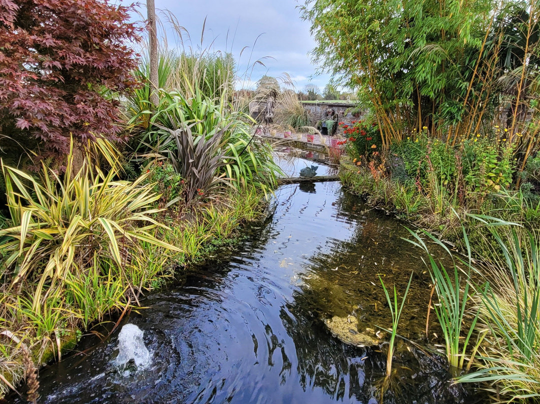 Coolwater Garden-利默里克必去景点