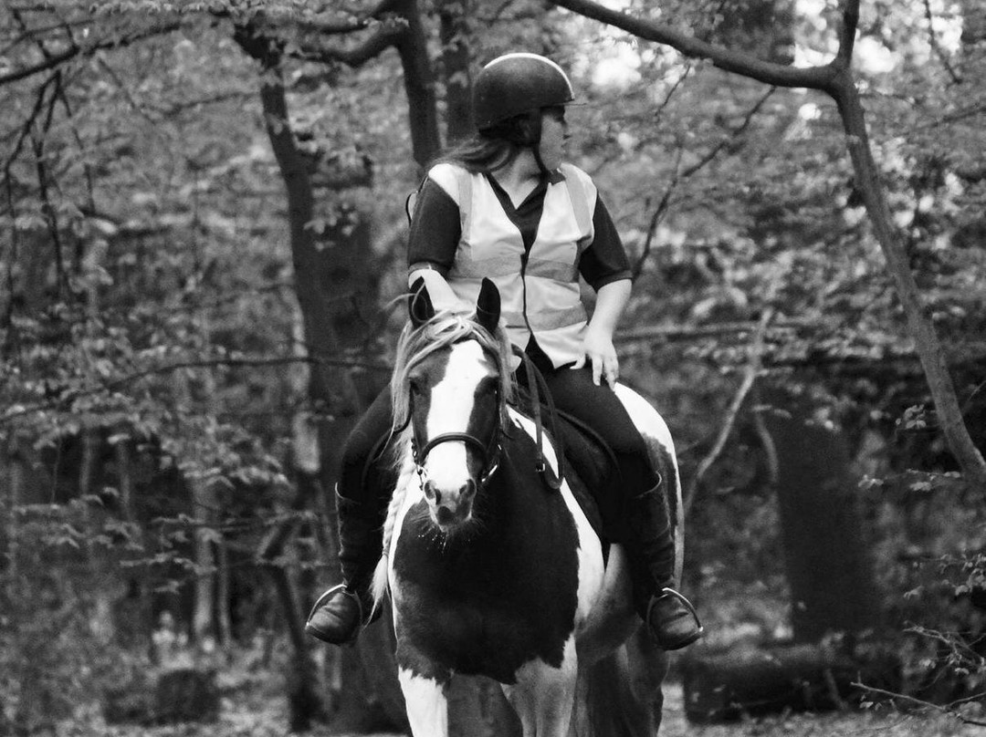 Belfairs Riding School-Leigh-on Sea必去景点